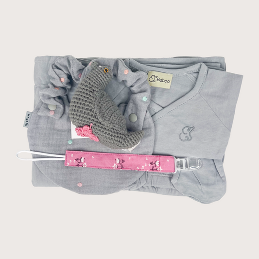 Baby Girl Gray Set